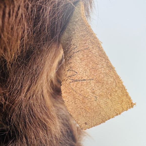 MOHAIR ARTIST BEAR by KIMBERLY’S BEARIED TREASURE 12” Jointed MISSING AN EYE! - Picture 3 of 11